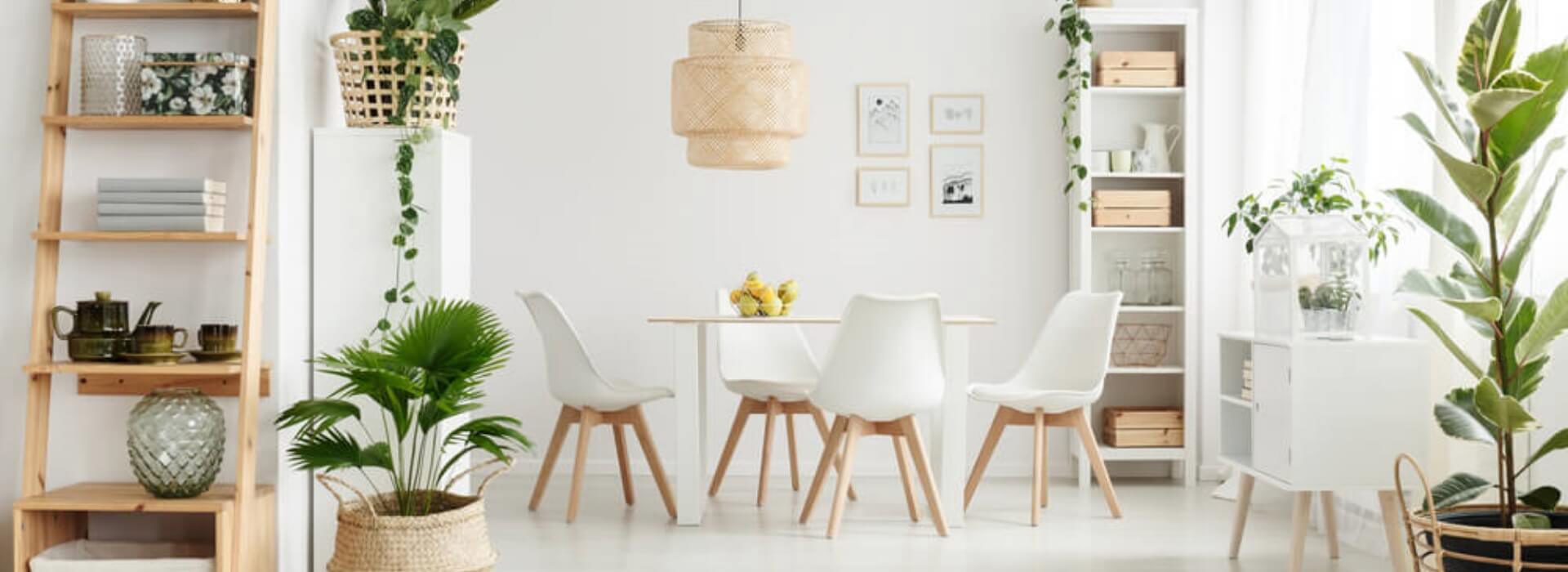 Creating a Home That Appeals to the Senses