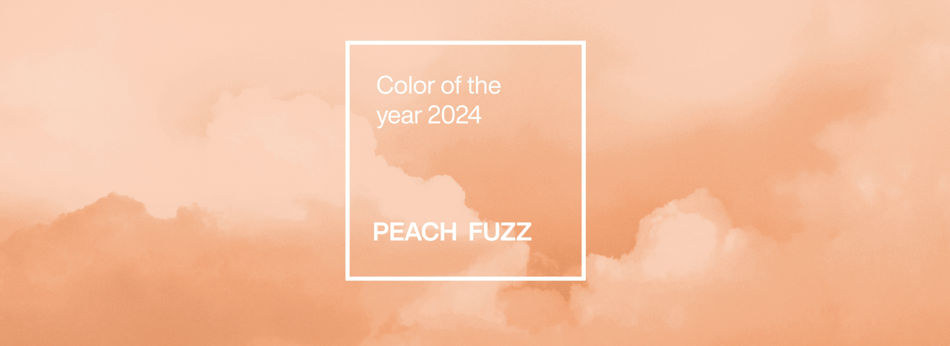 Pantone Colour of the Year: Peach Fuzz